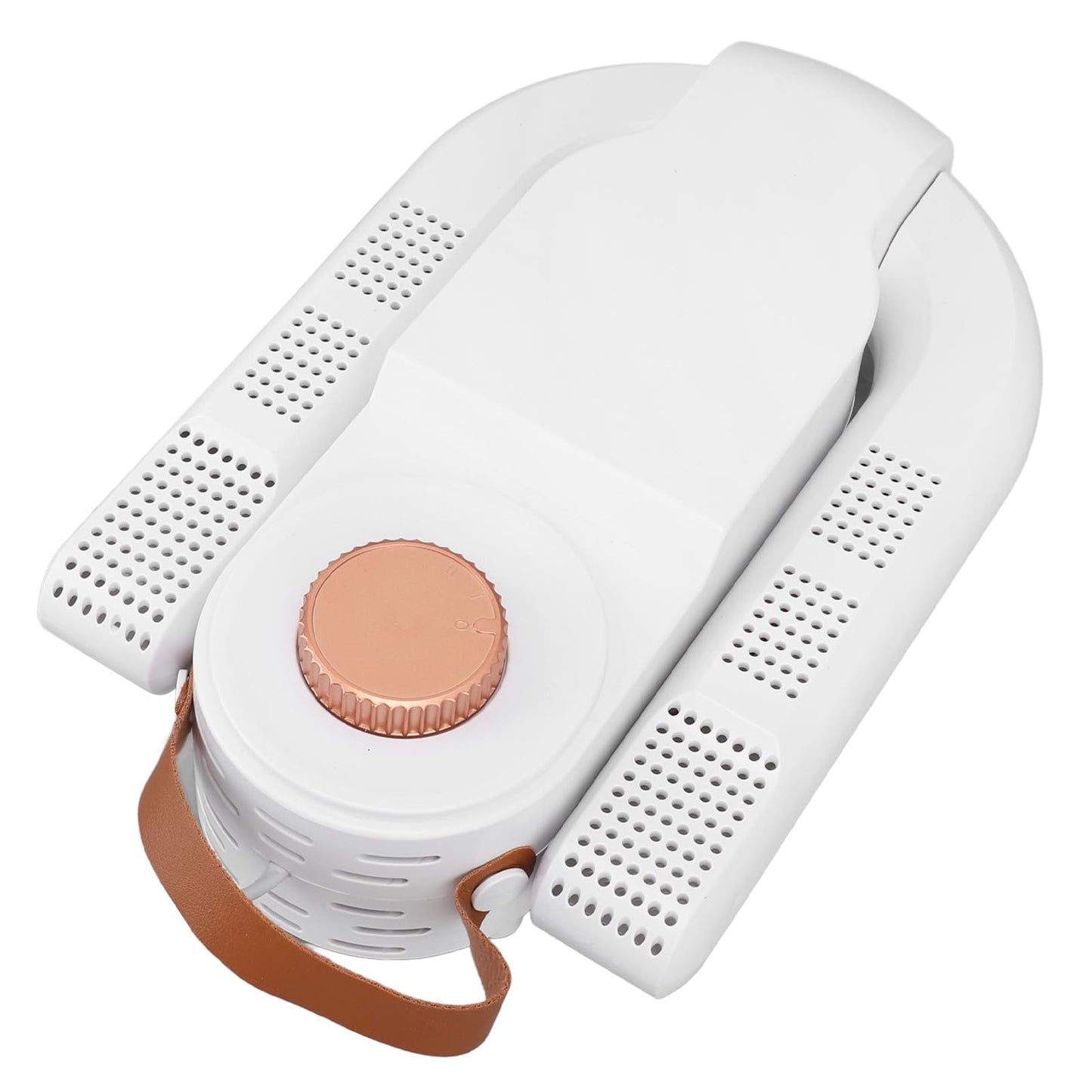 Electric shoe dryer with a timer and temperature control