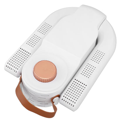 Electric shoe dryer with a timer and temperature control
