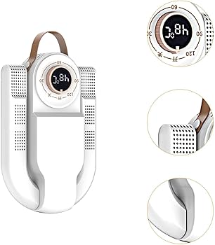 Electric shoe dryer with a timer and temperature control