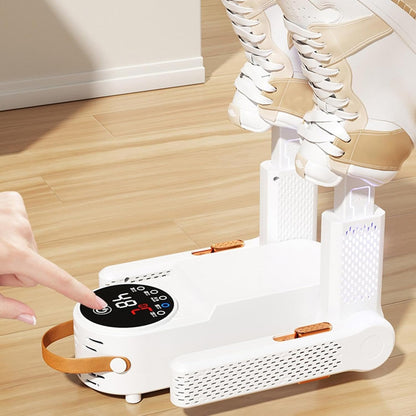 Electric shoe dryer with a timer and temperature control